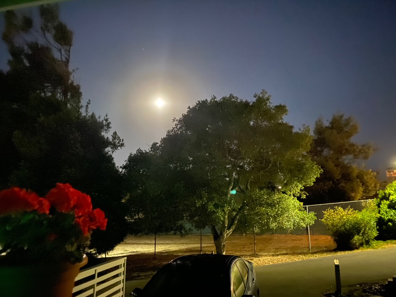 Blue Moon Over Cambria photo 1