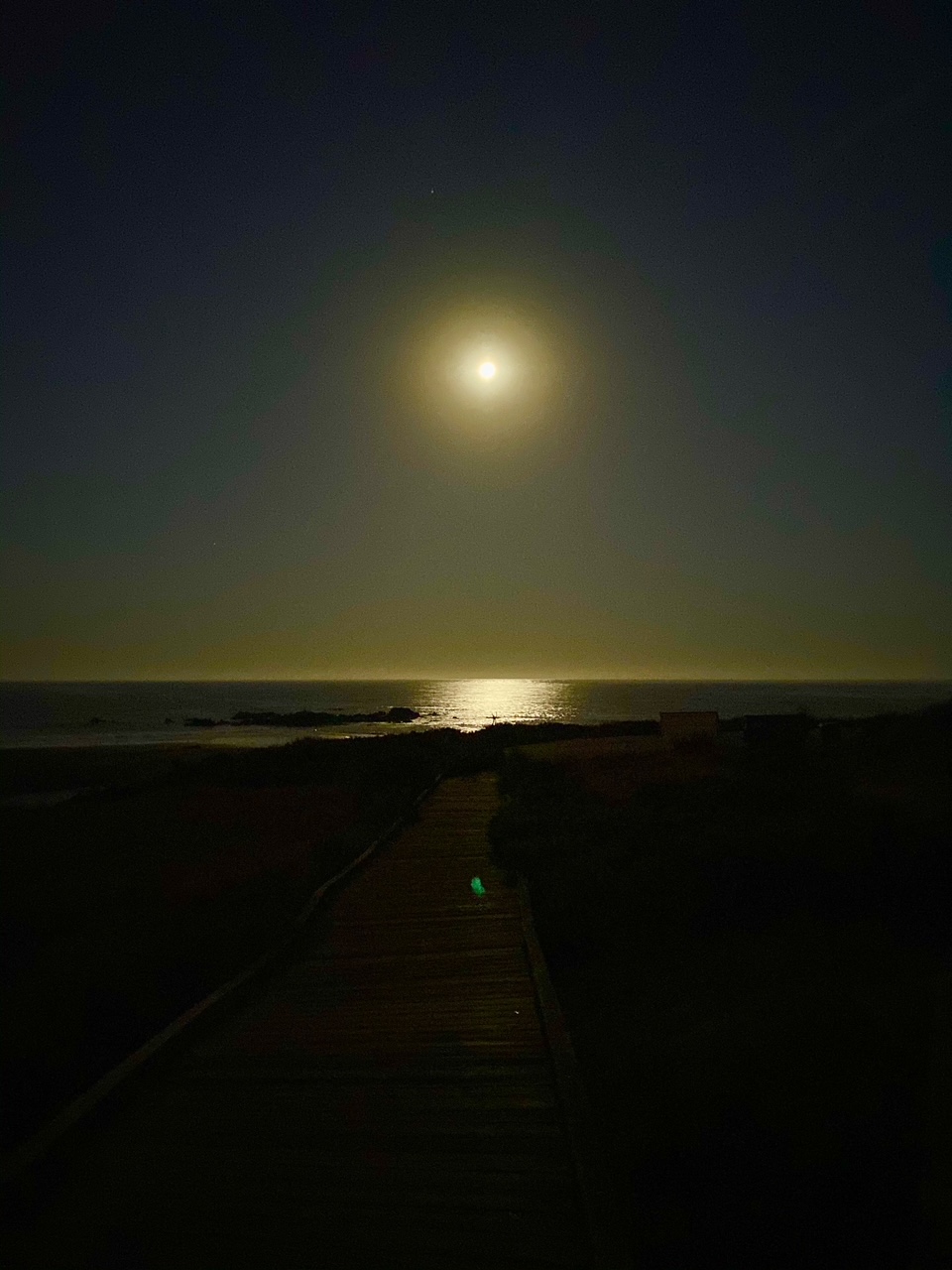 Blue Moon Over Cambria photo 2