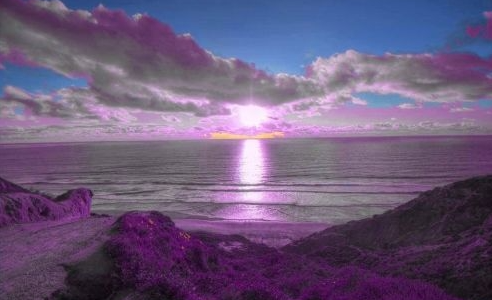 purple sky